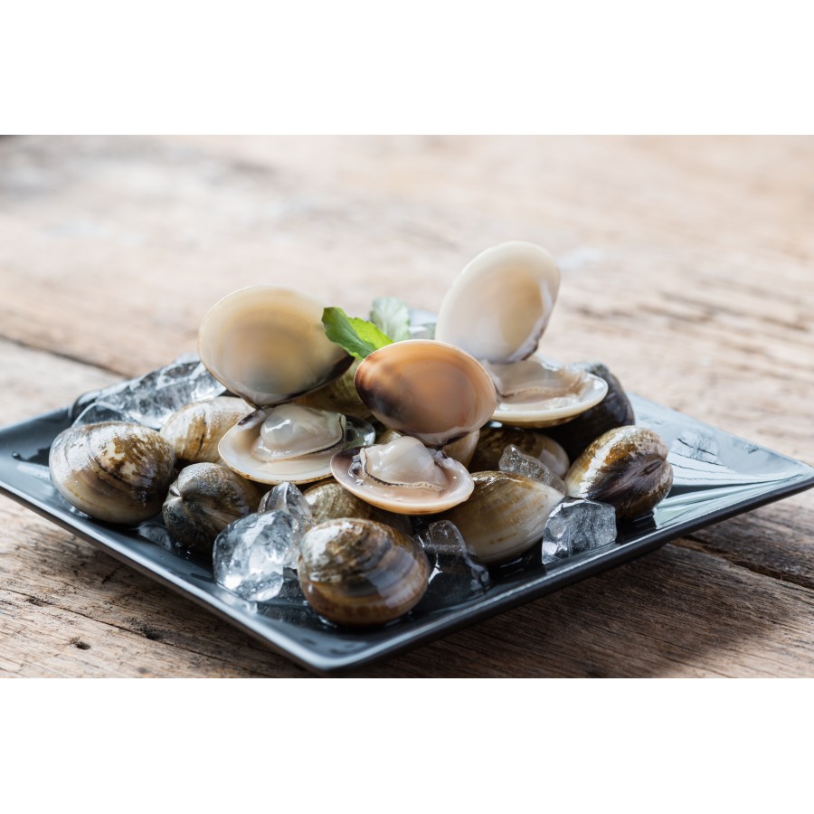 palourde -achat fruit de mer