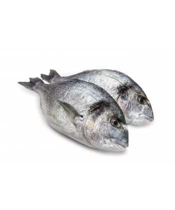 Daurade Royale 200 gr lot de 2 pièces-poisson frais