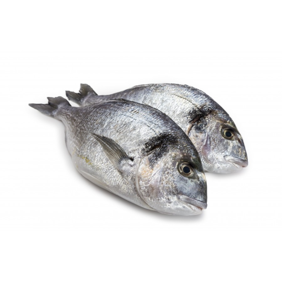 Daurade Royale 200 gr lot de 2 pièces-poisson frais