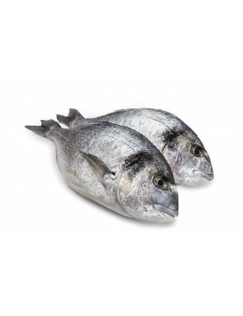 Daurade Royale 200 gr lot de 2 pièces-poisson frais