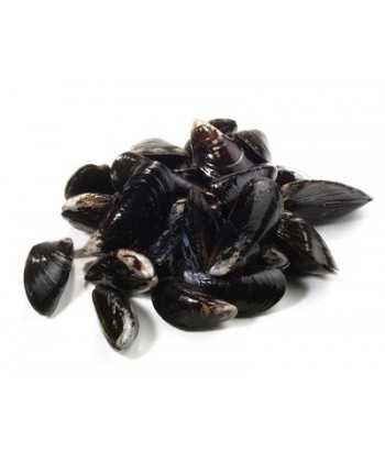 Moule de Bouchot  lot 4 kg-vente de moule en ligne 