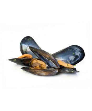 Moule de Bouchot  lot 4 kg-vente de moule en ligne