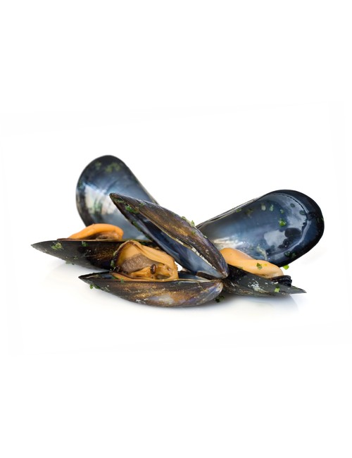 Moule de Bouchot  lot 4 kg-vente de moule en ligne