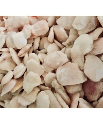 Joues de Sandre Surgelées 0,800kg