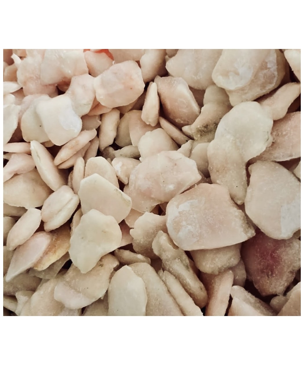 Joues de Sandre Surgelées 0,800kg