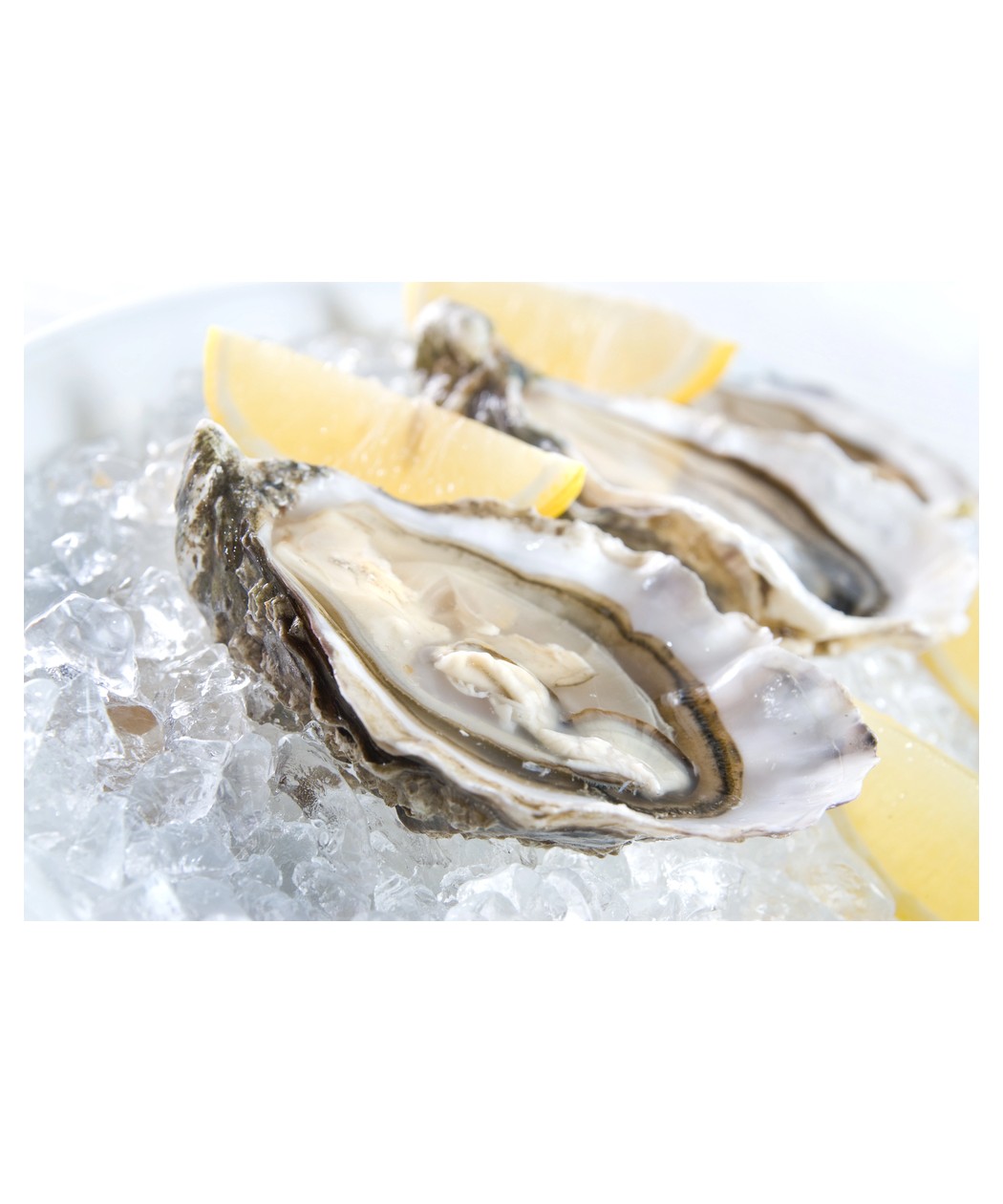 Huîtres Spéciales l' Héritière  SENEQUET