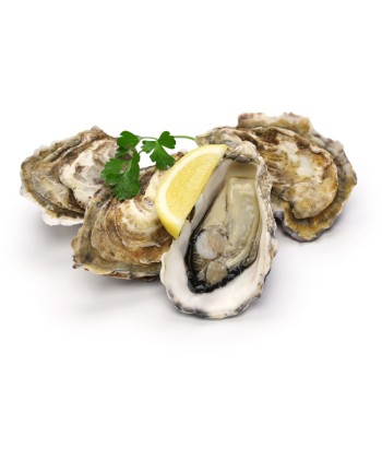 Huîtres Fine Normandie IGP Le SENEQUET