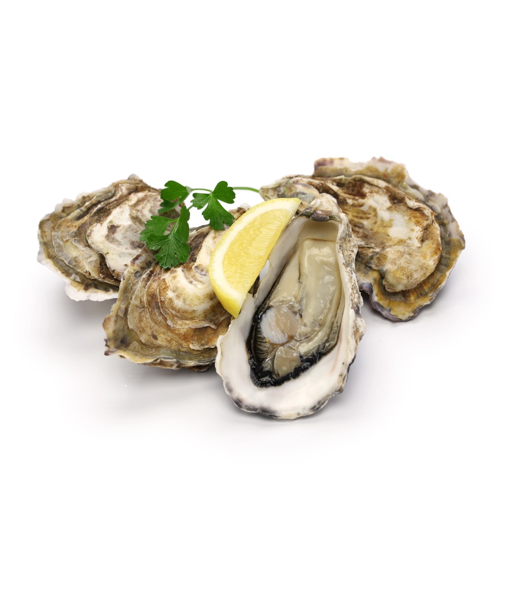 Huîtres Fine Normandie IGP Le SENEQUET